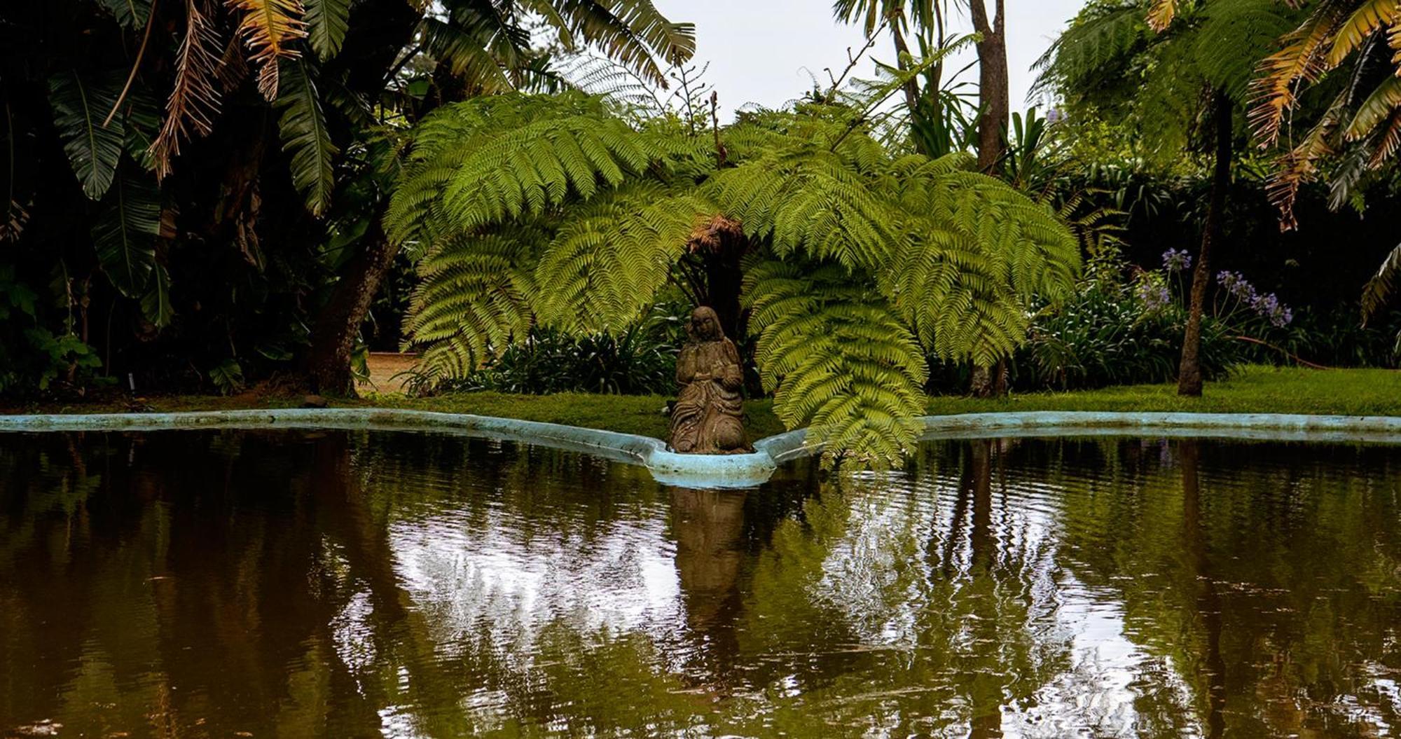 Aparthotel Quinta Da Nasce Agua Angra do Heroísmo Exterior foto